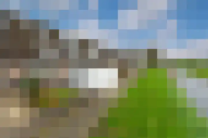Reigersweide 148 Weesp thumbnail 30