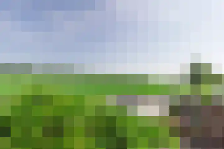 Reigersweide 74 Weesp thumbnail 24