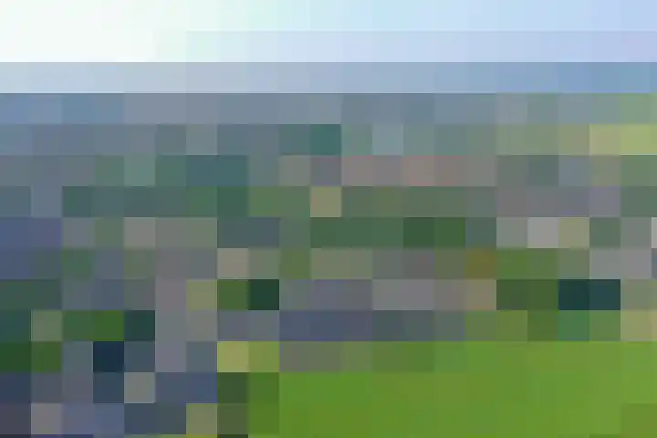Reigersweide 74 Weesp thumbnail 32