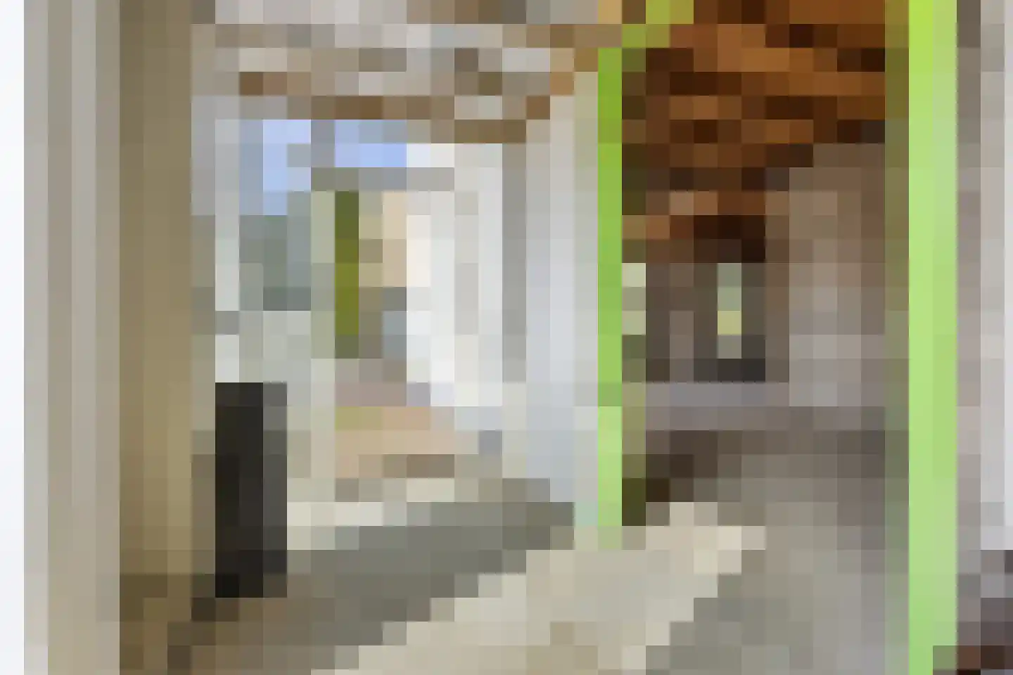Reinaldstraat 18 Velp thumbnail 15