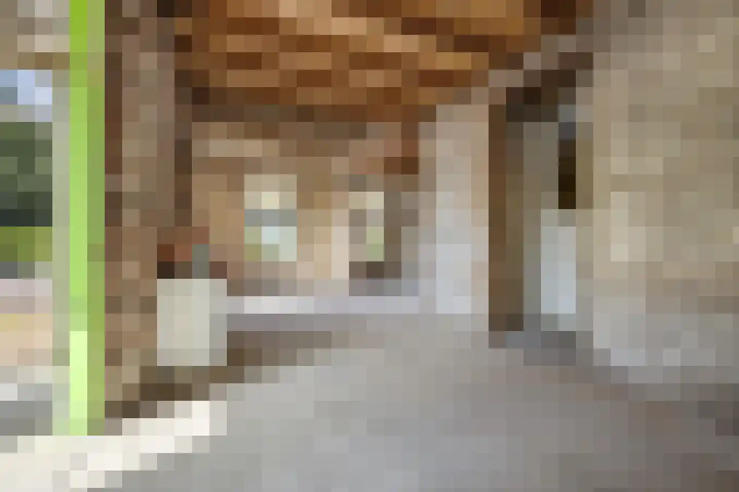 Reinaldstraat 18 Velp thumbnail 16