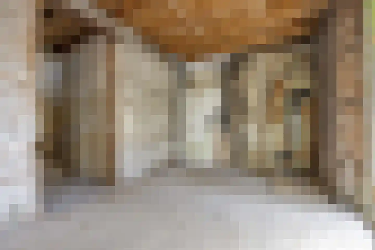 Reinaldstraat 18 Velp thumbnail 17