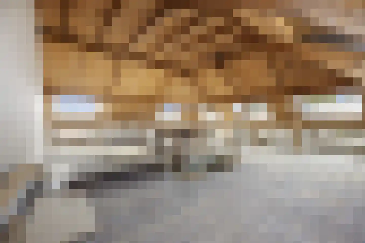 Reinaldstraat 18 Velp foto 2