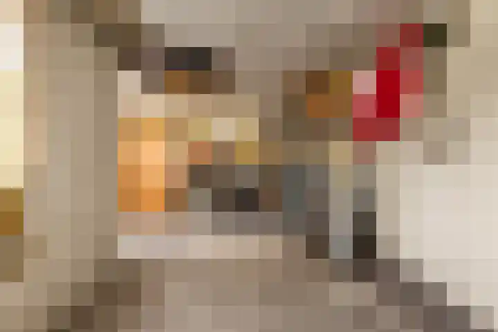 Reinaldstraat 18 Velp thumbnail 20