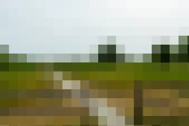 Reinaldstraat 18 Velp thumbnail 23