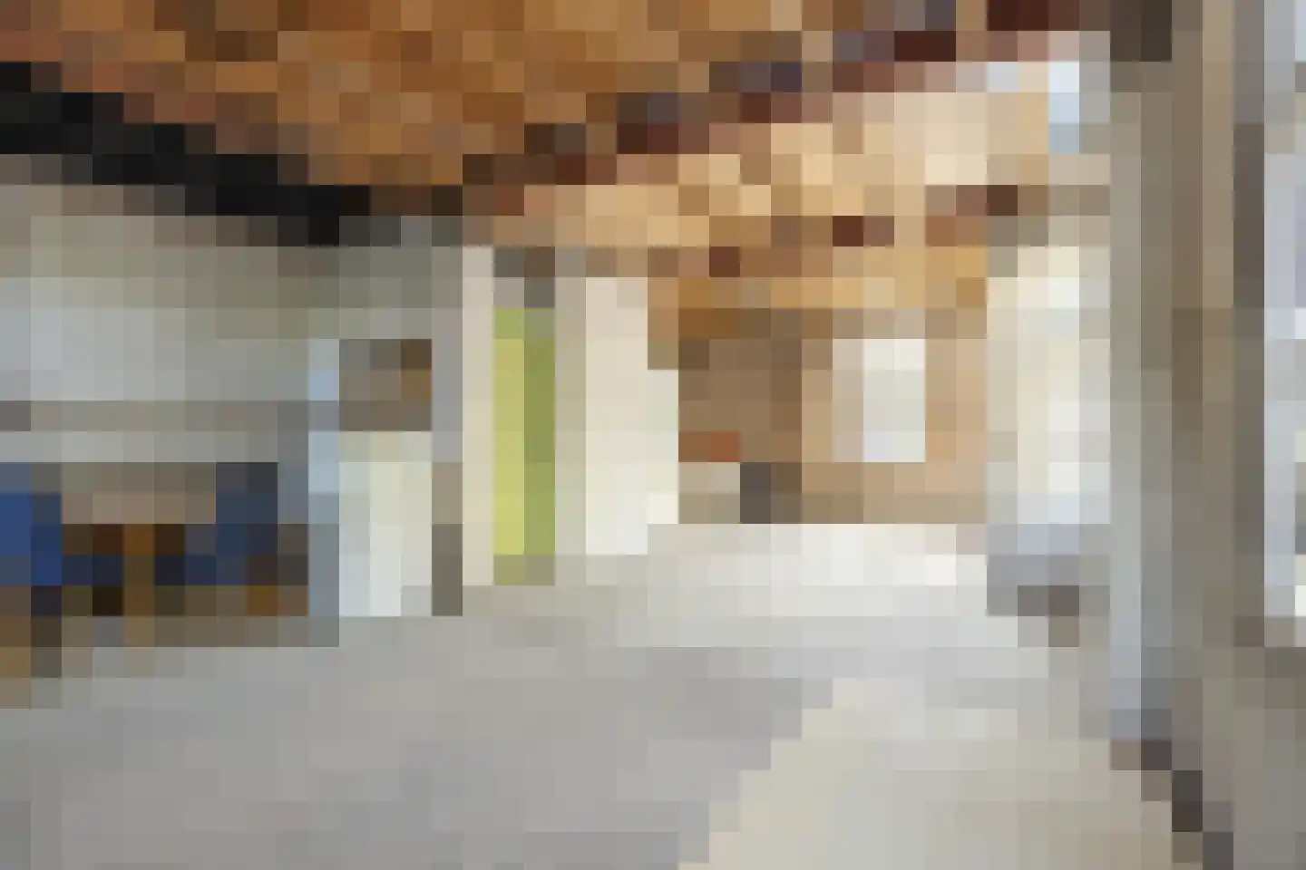 Reinaldstraat 18 Velp thumbnail 24