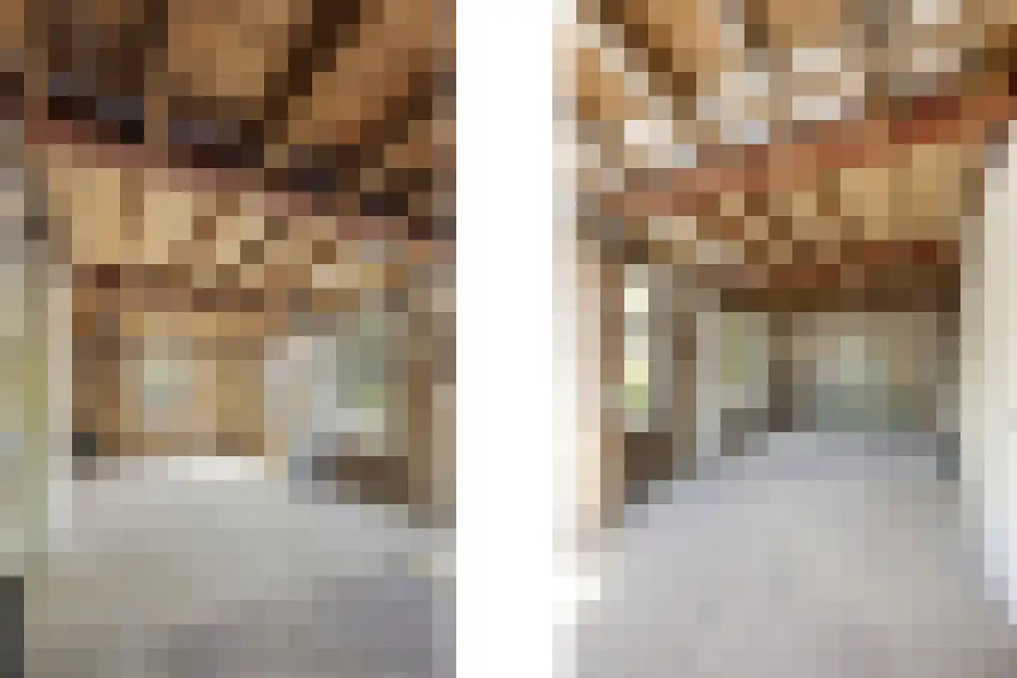 Reinaldstraat 18 Velp thumbnail 26