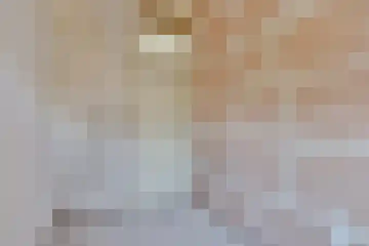 Reinaldstraat 18 Velp thumbnail 34