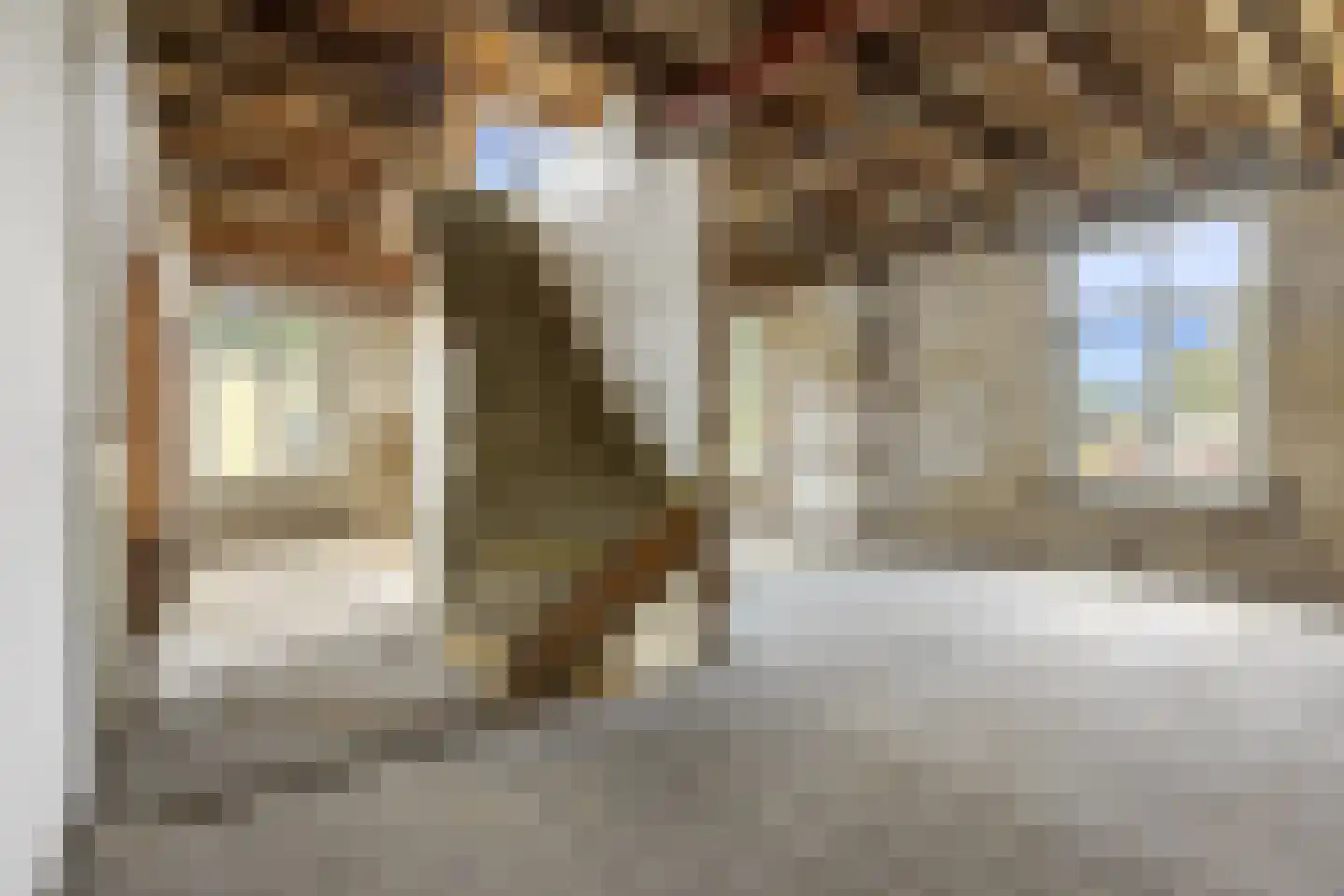 Reinaldstraat 18 Velp thumbnail 39