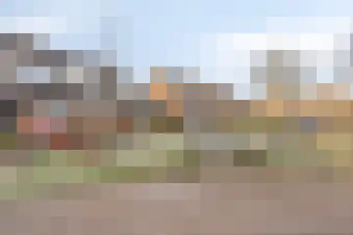 Reinaldstraat 18 Velp thumbnail 42
