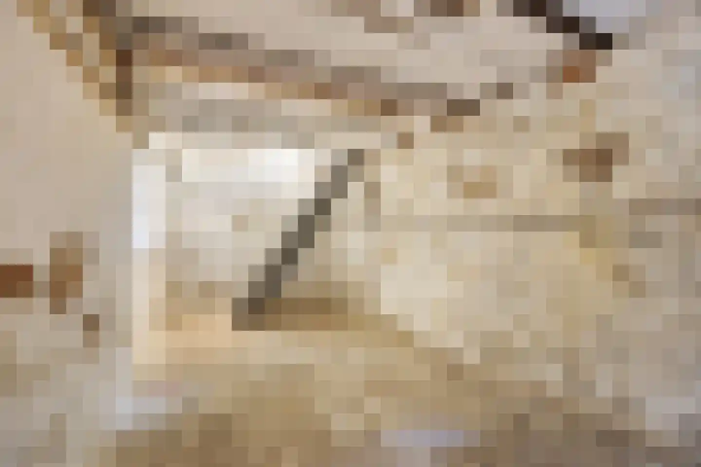 Reinaldstraat 18 Velp thumbnail 47