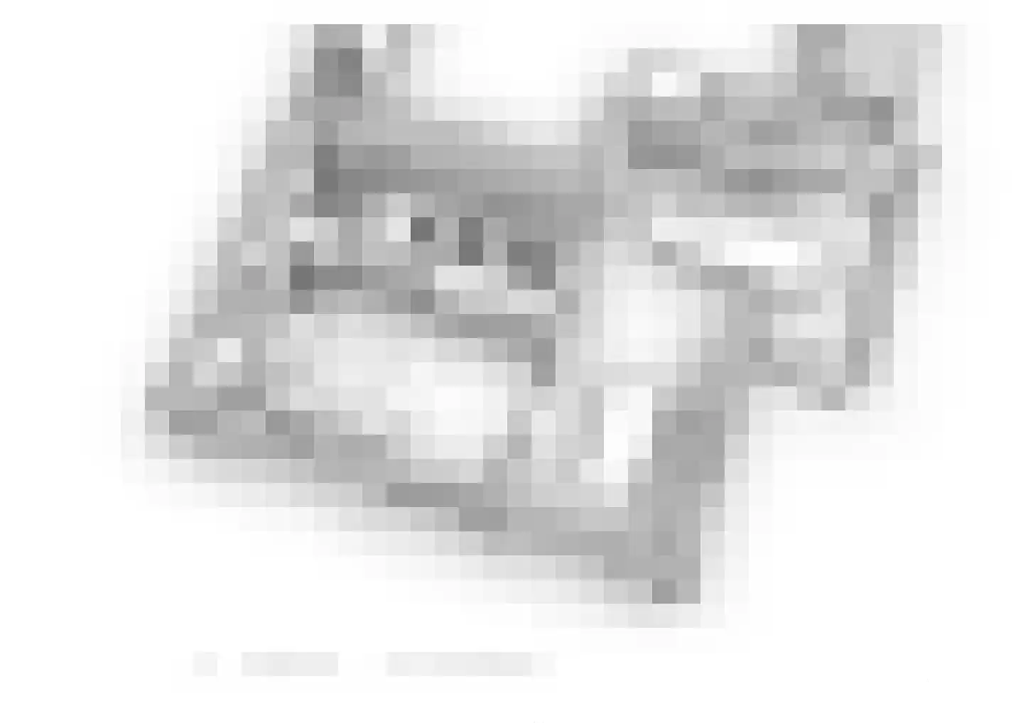 Reinaldstraat 18 Velp thumbnail 61