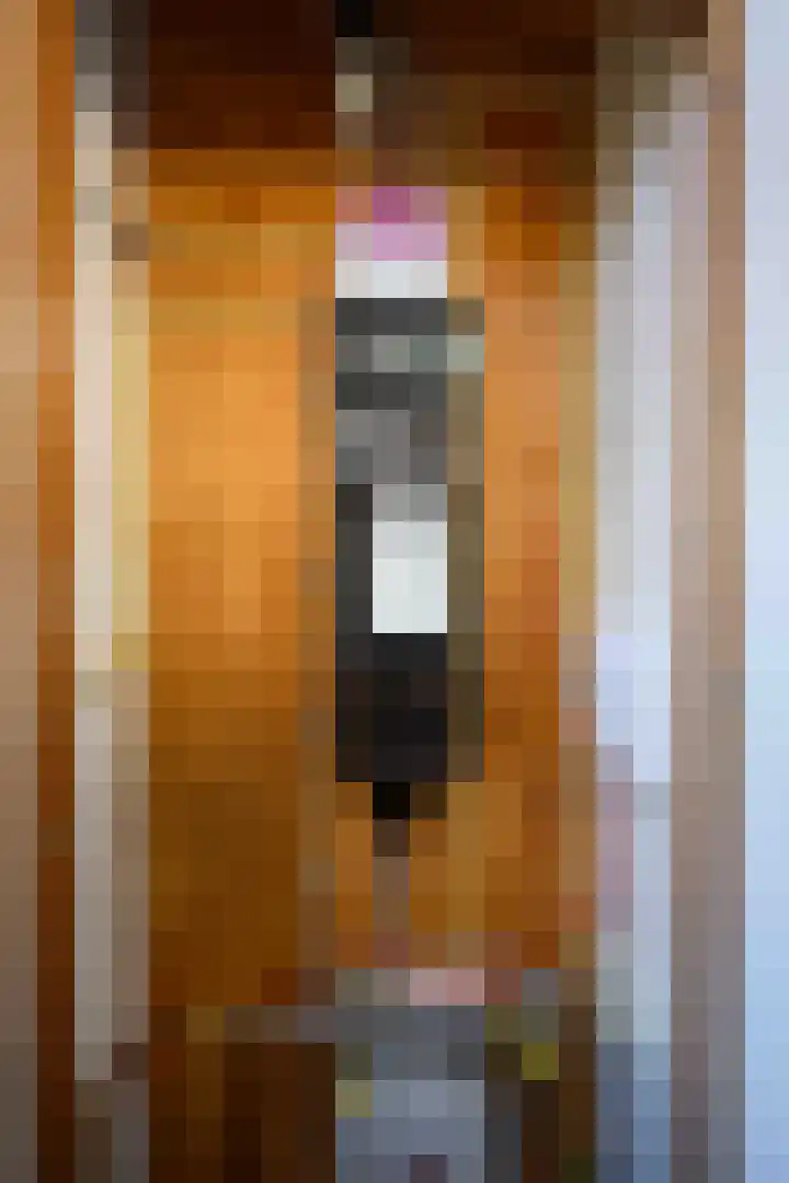 Reinaldstraat 18 Velp thumbnail 62