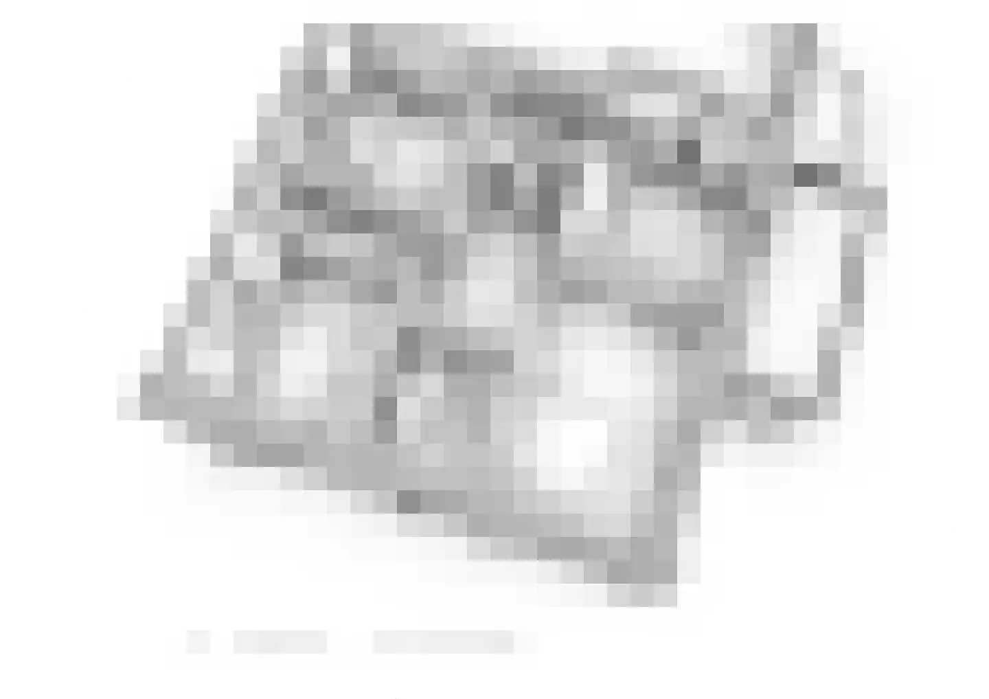 Reinaldstraat 18 Velp thumbnail 63