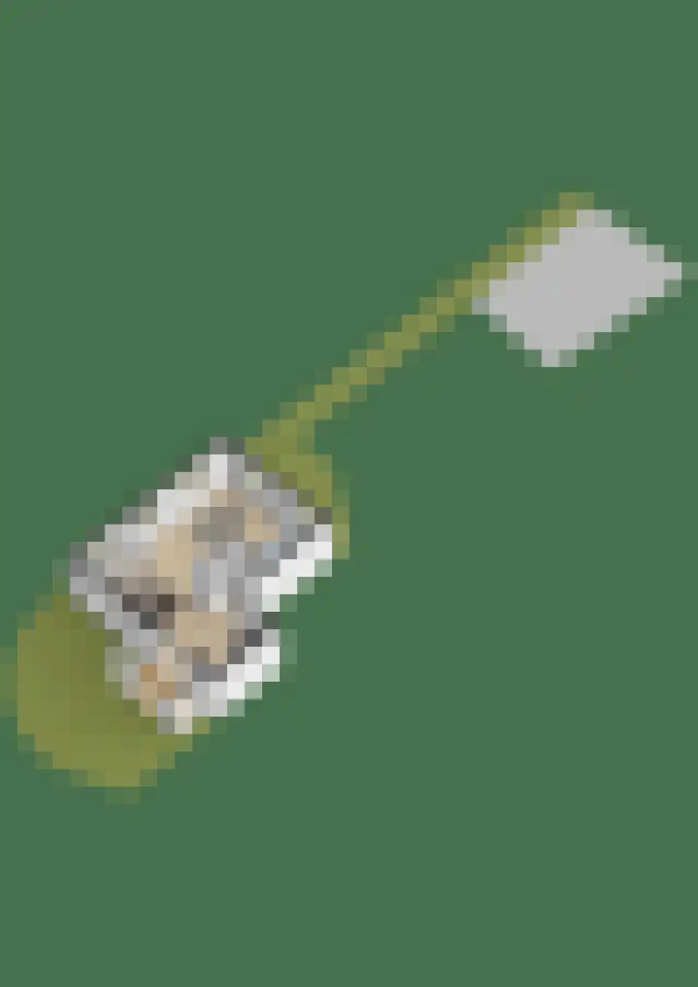 Reinaldstraat 18 Velp thumbnail 74
