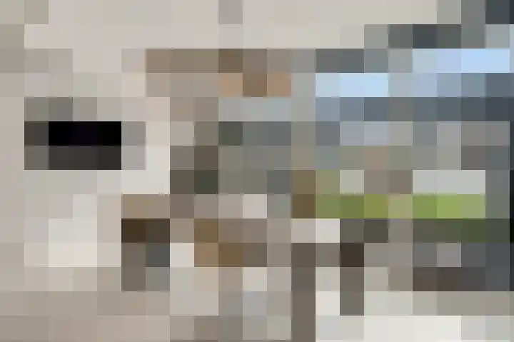 Reinaldstraat 7 G Valkenburg thumbnail 13