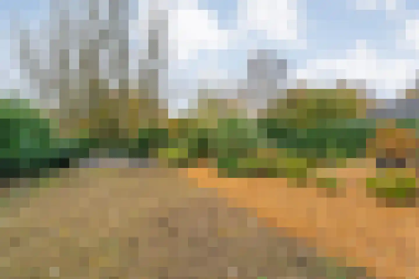 Reindersdijk 33 Dalen thumbnail 82