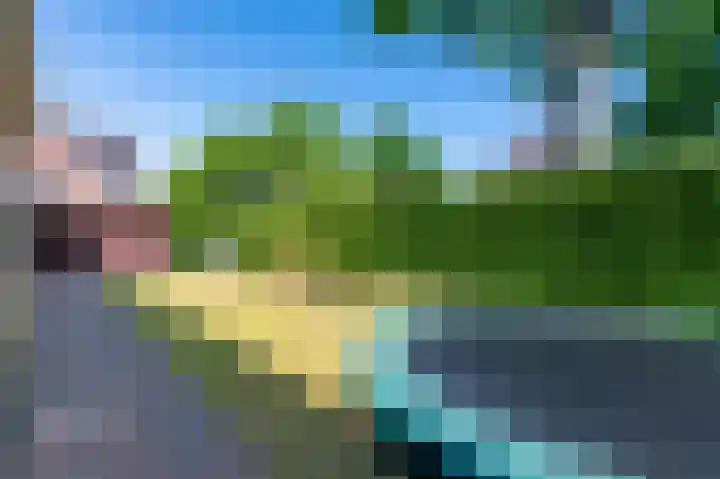 Reindertpad 2 Putten thumbnail 41