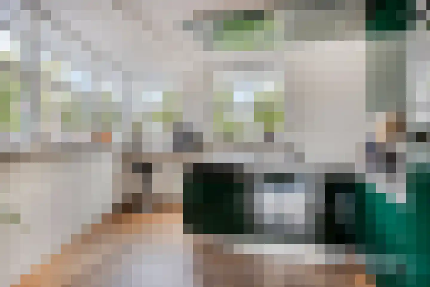 Reinette 20 Boskoop thumbnail 10