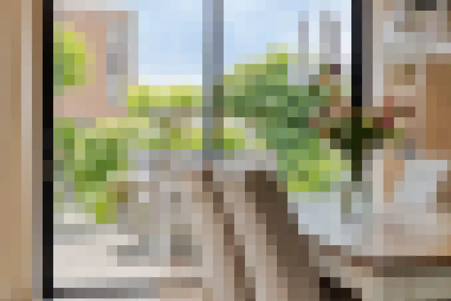Reinette 20 Boskoop thumbnail 13