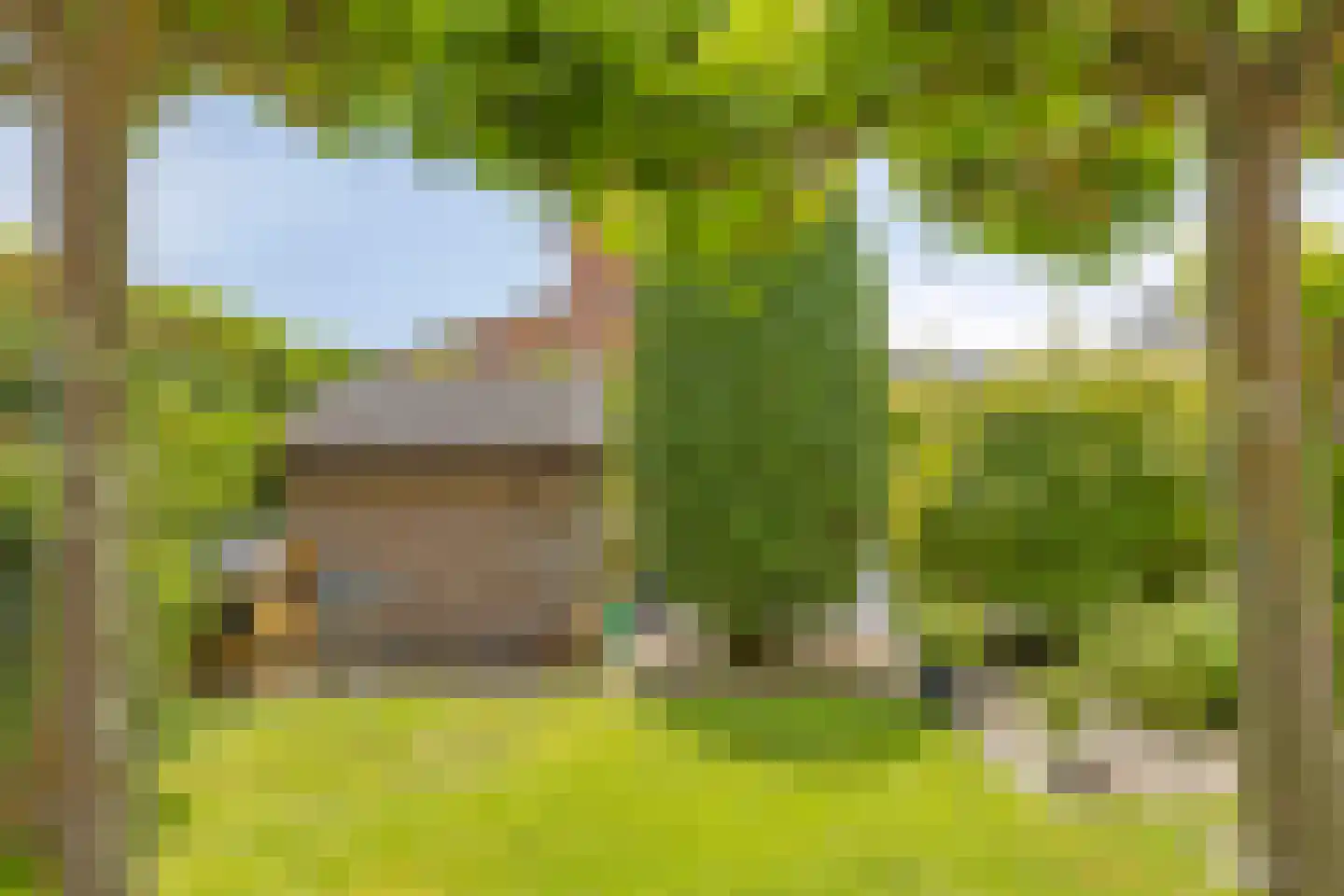 Reinette 20 Boskoop thumbnail 32
