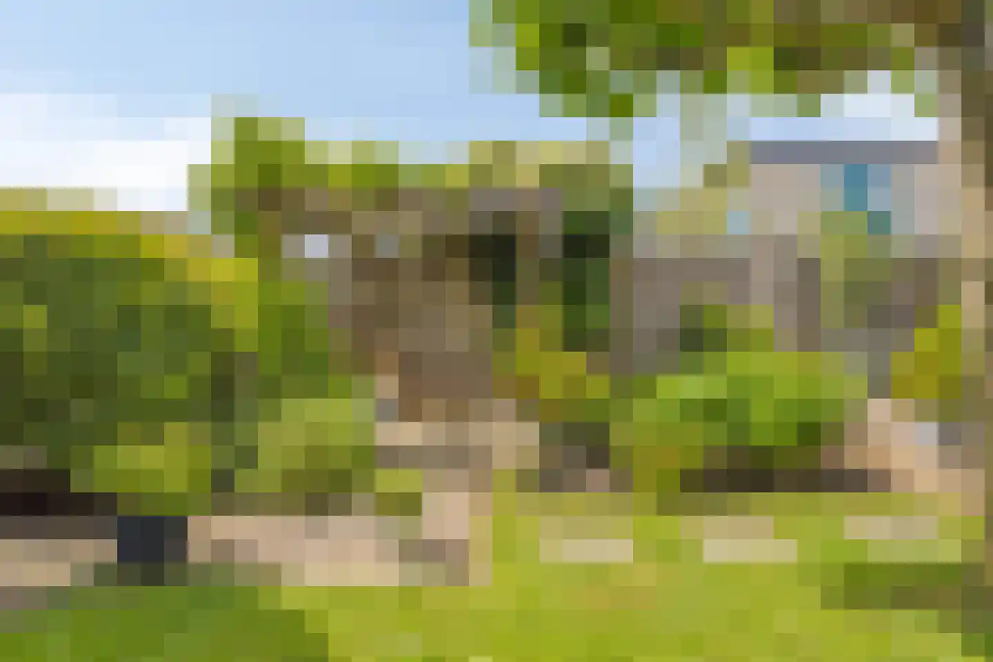 Reinette 20 Boskoop thumbnail 33