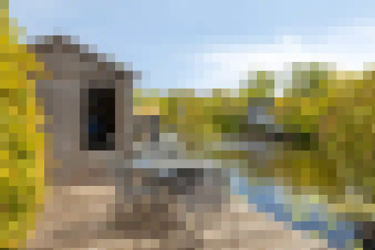 Reinette 20 Boskoop thumbnail 35