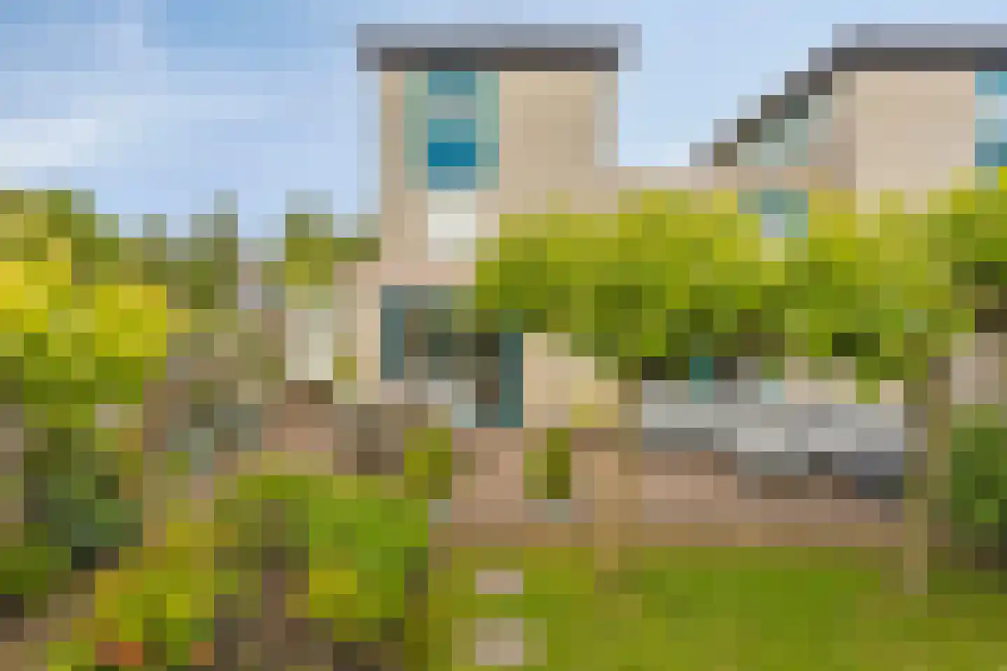 Reinette 20 Boskoop thumbnail 4