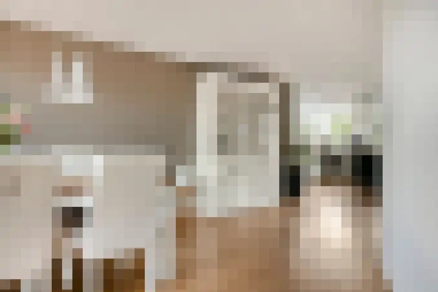 Reinette 20 Boskoop thumbnail 8