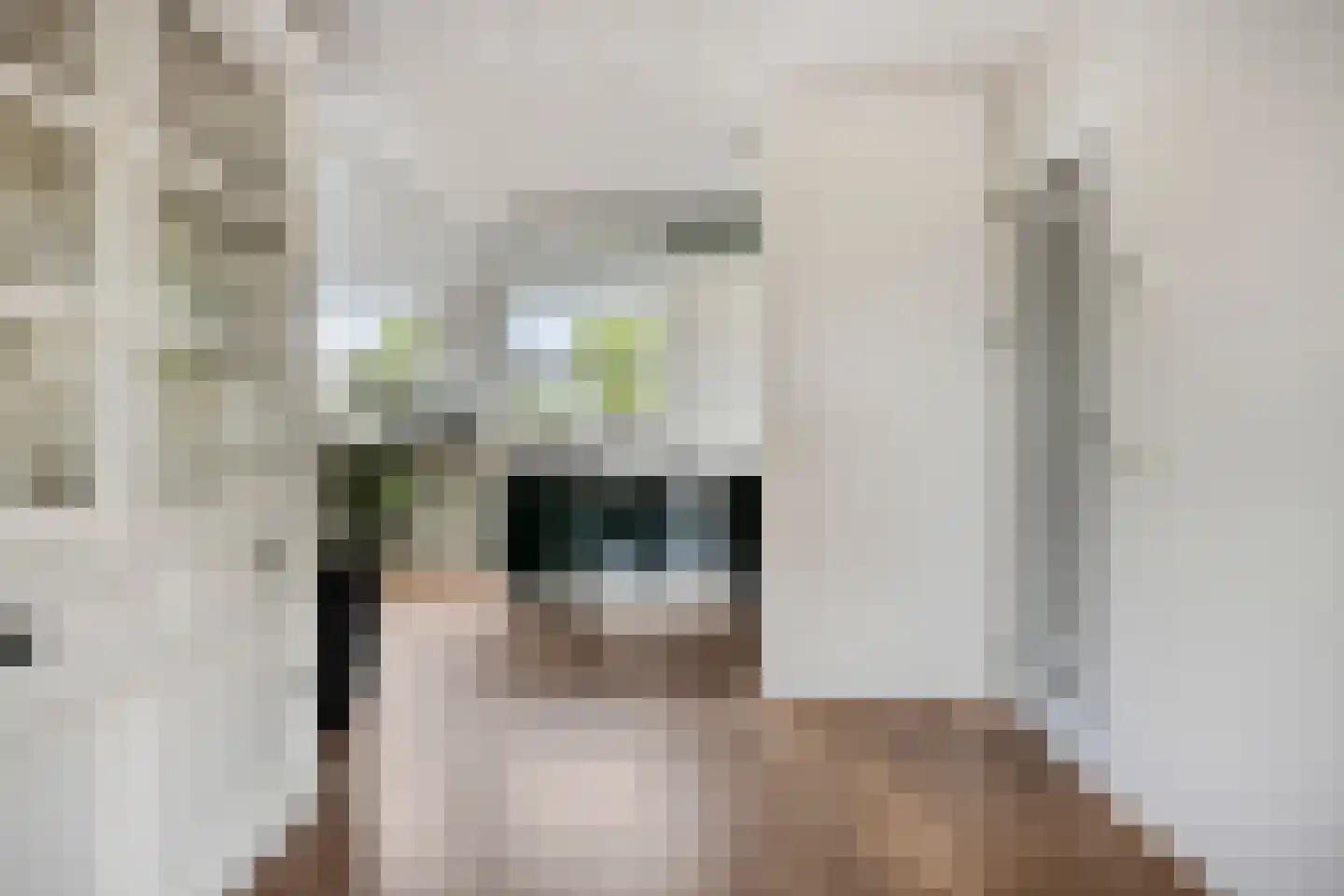 Reinette 20 Boskoop thumbnail 9