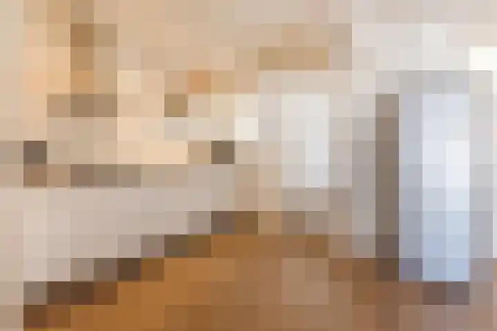 Reinoldstraat 8 Uden thumbnail 13