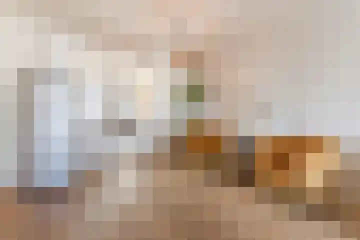 Reinoldstraat 8 Uden thumbnail 15