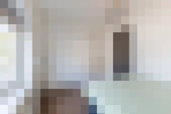 Reinoldstraat 8 Uden thumbnail 22
