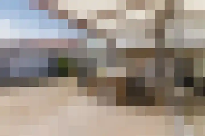 Reinoldstraat 8 Uden thumbnail 33