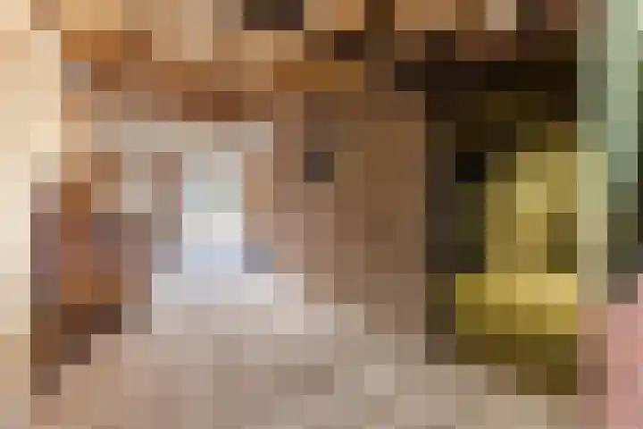 Reinoldstraat 8 Uden thumbnail 37