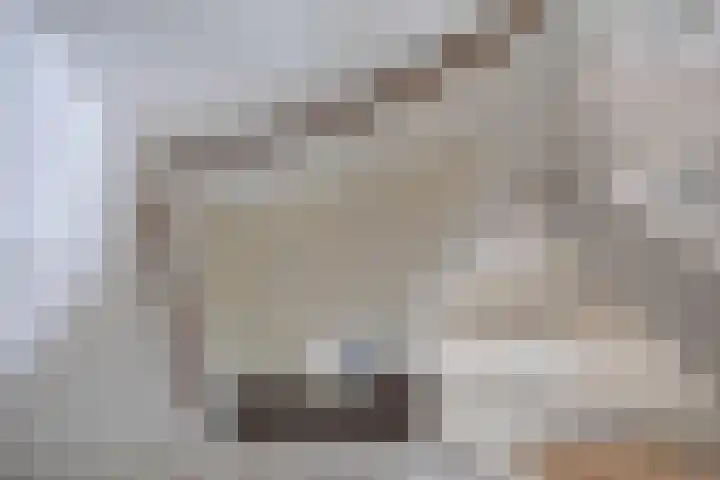 Reitdiephaven 433 Groningen thumbnail 53