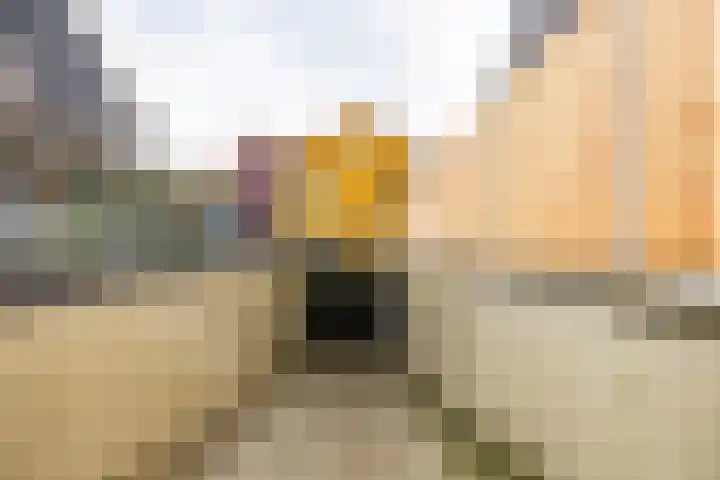 Reitdiephaven 433 Groningen thumbnail 59