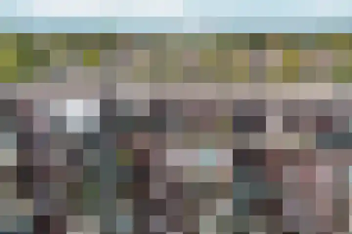 Reitzstraat 79 Haarlem thumbnail 21