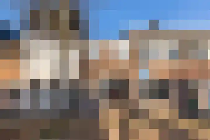 Reitzstraat 83 Haarlem