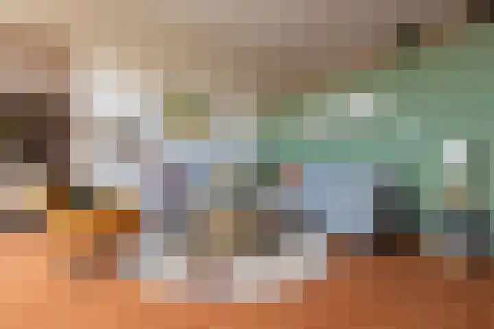 Reling 23 Nijkerk thumbnail 11