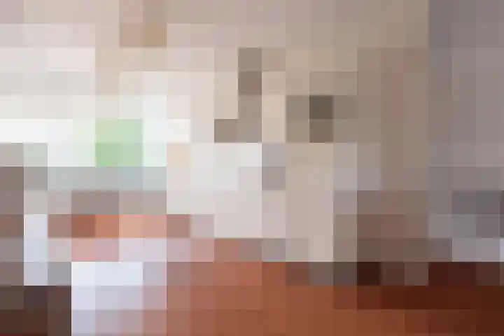 Reling 23 Nijkerk thumbnail 20