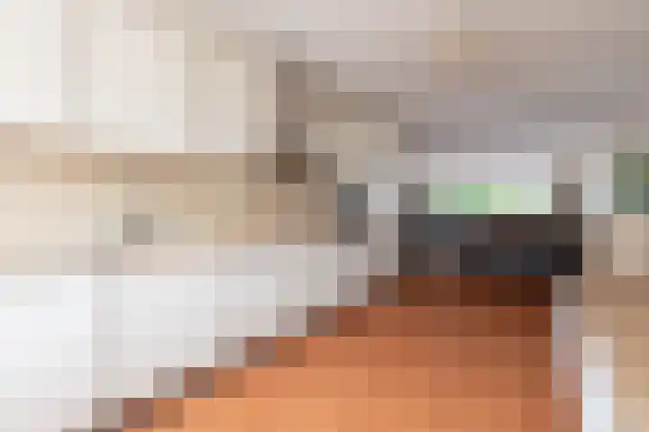 Reling 23 Nijkerk thumbnail 21