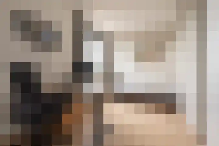 Reling 23 Nijkerk thumbnail 26