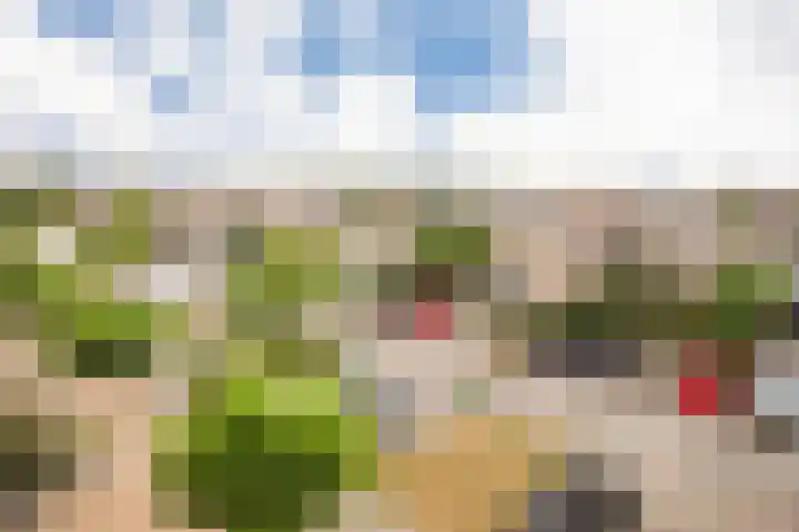 Reling 23 Nijkerk thumbnail 31