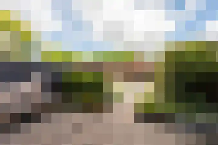 Reling 23 Nijkerk thumbnail 43