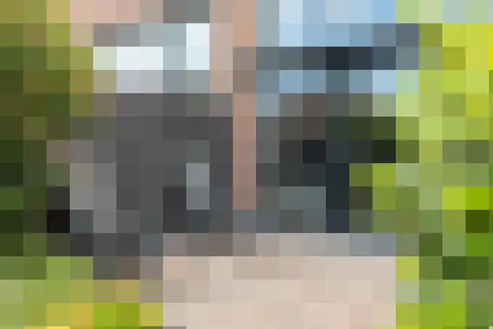 Reling 23 Nijkerk thumbnail 44