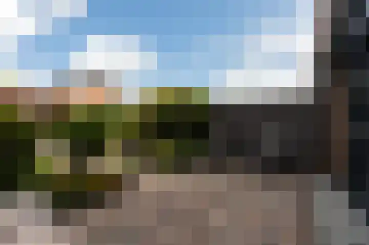 Reling 23 Nijkerk thumbnail 45