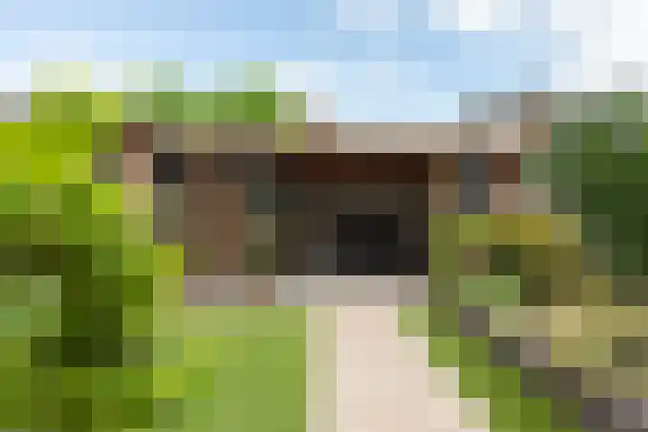 Reling 23 Nijkerk thumbnail 46