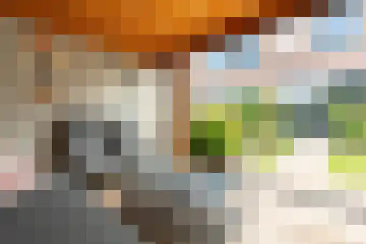 Reling 23 Nijkerk thumbnail 48