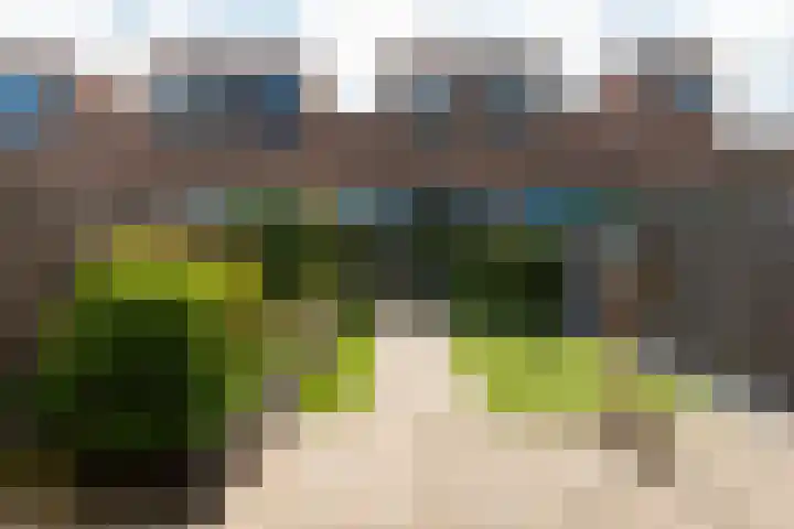 Reling 23 Nijkerk thumbnail 49